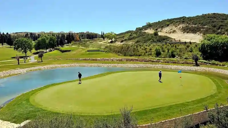 Leonardo Plaza Cypria Maris Beach Hotel & Spa - Animation & Nearby Facilities