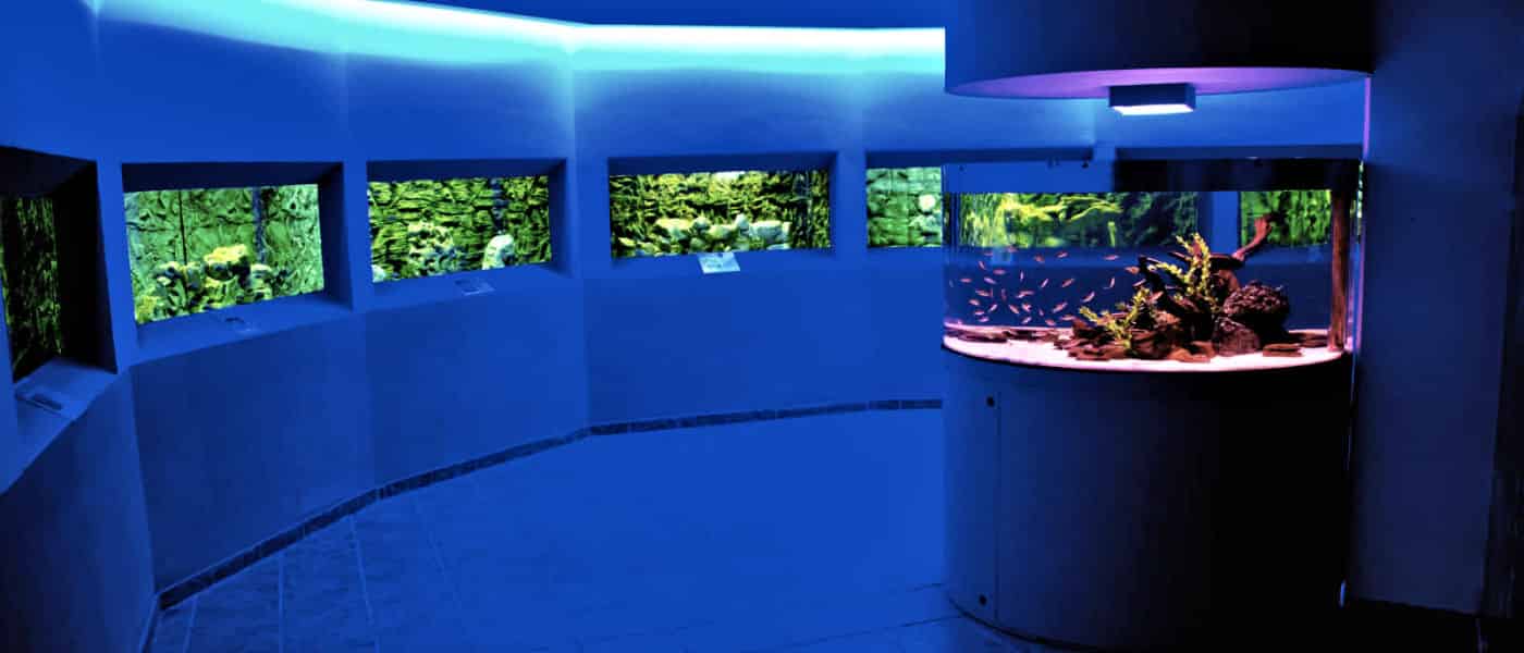 Leonardo Mediterranean Hotels & Resorts - Ocean Aquarium